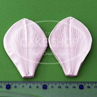 BLOOMS AMARYLLIS KRONBLAD A