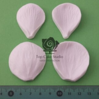 BLOOMS ANEMONE KRONBLAD - SÆT