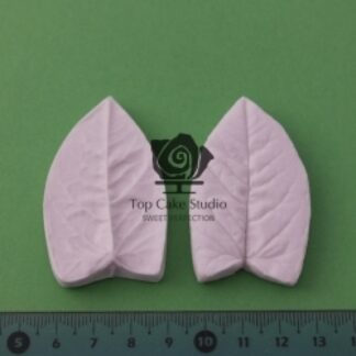 BLOOMS BINDWEED - pragtsnerle