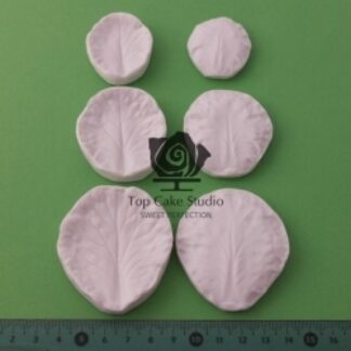 BLOOMS CABBAGE FLOWER LEAF SET - pyntekål