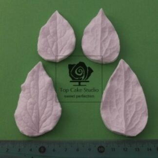 BLOOMS CLEMATIS BLADE SÆT