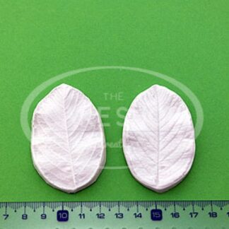 BLOOMS DOGROSE LEAF - hybenblad