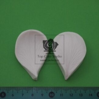 BLOOMS FRANGIPANI (PLUMERIA) KRONBLAD