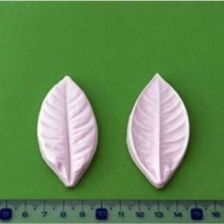BLOOMS GARDENIA BLAD L