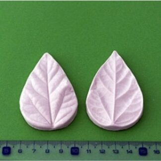 BLOOMS HIBISCUS BLAD