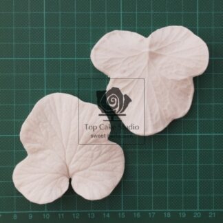 BLOOMS UNIVERSAL BLAD C - M