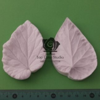 BLOOMS BEGONIA BLAD L