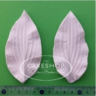 BLOOMS HOSTA BLAD