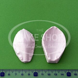 BLOOMS CYMBIDIUM ORCHID KRONBLAD