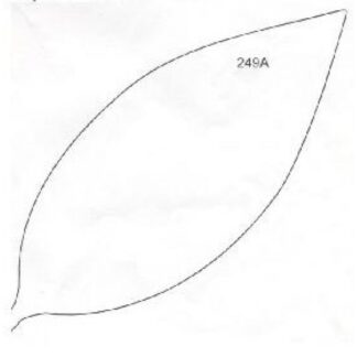 FRAMAR Blad til Liljekonval /A