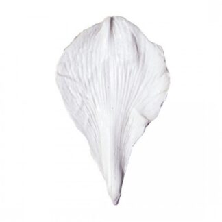 SK Great Impressions Petal Veiner Amaryllis /amaryllis vener ekstra bred