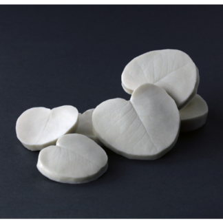 Eukalyptus vener, botanisk korrekt /sæt m 3