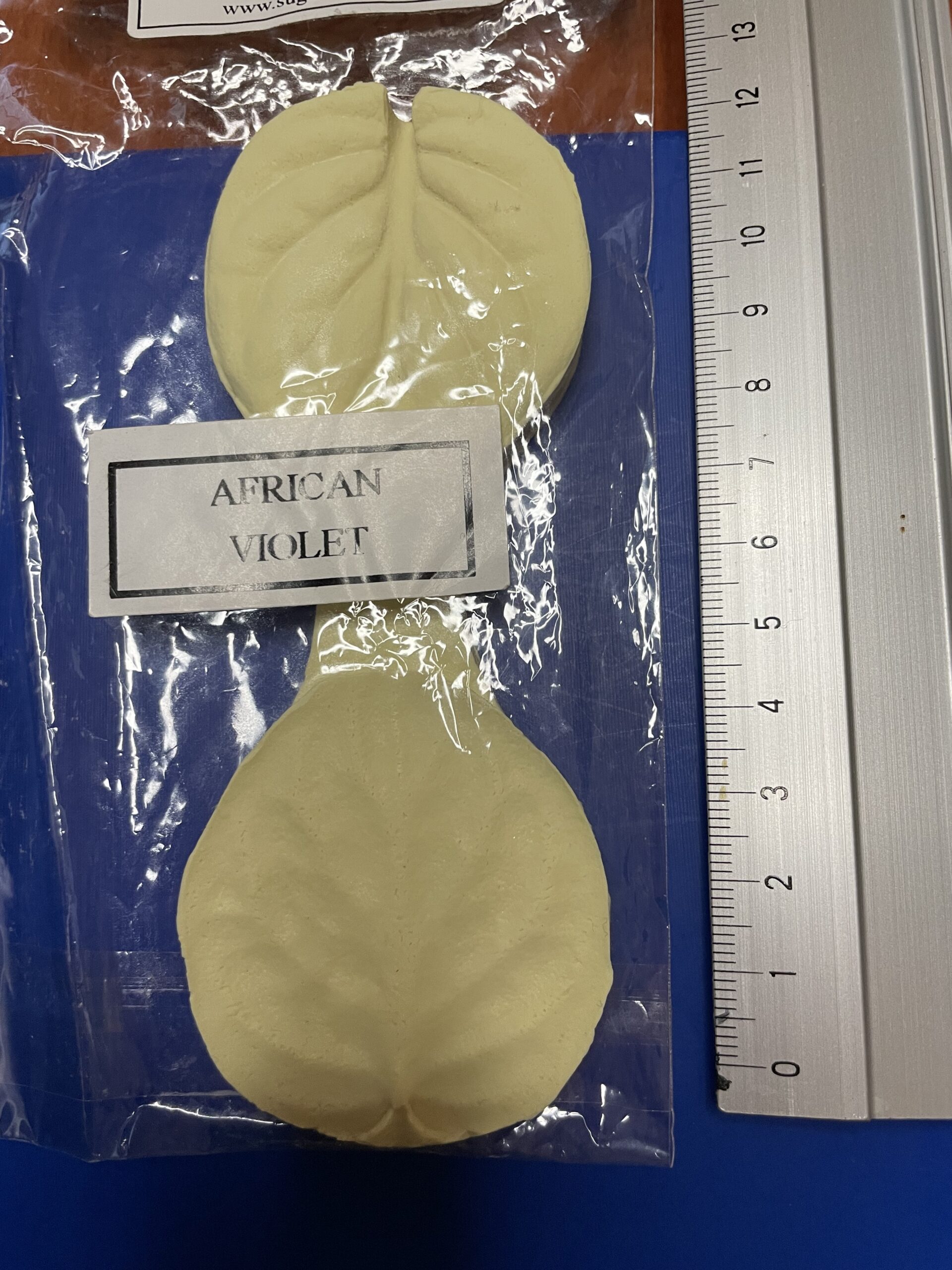 DPM African Violet leaf veiner /vener til saintpaulia blade