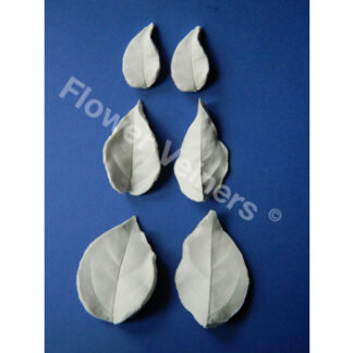 Flower Veiners Bougainvillea Leaf / venere til blade på trillingeranke/ sæt 3