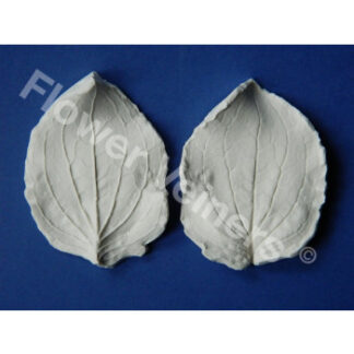 Flower Veiners Mimulus Monkey Flower Leaf L/bladvener til abeblomst - Stor