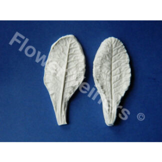 Flower Veiners Primula Primrose Leaf S/ bladvener til primula - lille