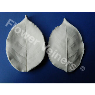 Flower Veiners Rosa Chinensis Rose Leaf XXL/ vener til stort rosenblad - XXL