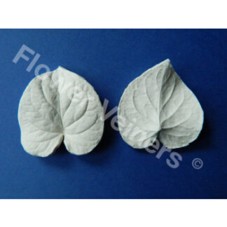 Flower Veiners Viola Odorata Sweet Violet Leaf M/ blad til viol - medium