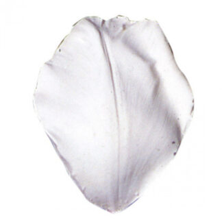 SK Great Impressions Petal Veiner Tulip - Parrot/ vener til Papegøje Tulipan