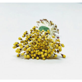 Blooms Stamens Duo Brown/Yellow tip Støvfangere brun m gul tip