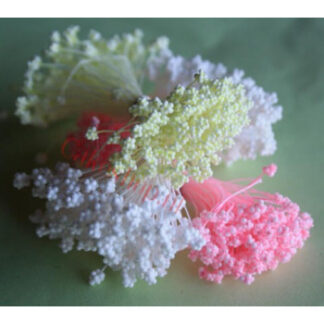 Stamens Gypsophila Yellow/ støvdragere brudeslør - gul (35)